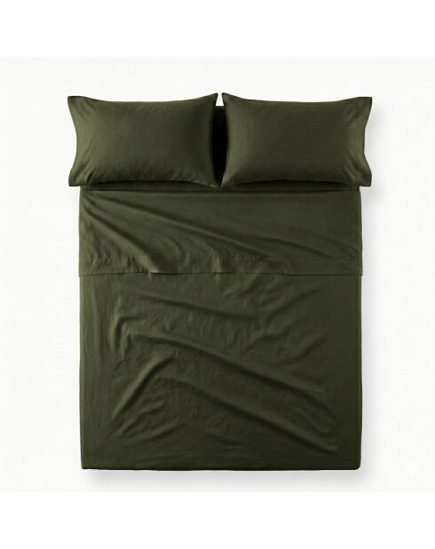 Drap en coton Basic  vert olive