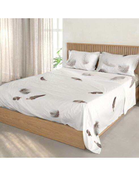 Drap en coton Light multicolore