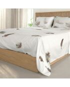 Drap en coton Light multicolore