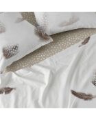 Drap en coton Light multicolore