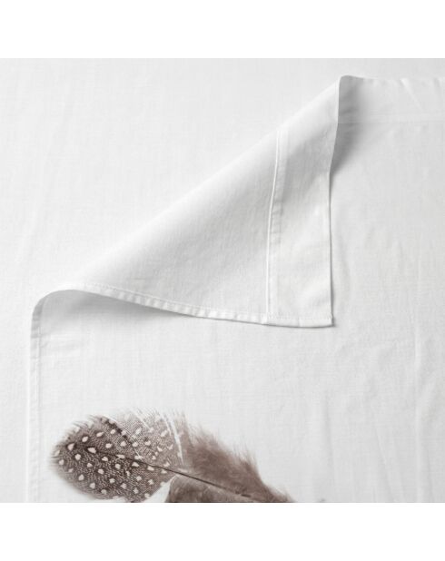 Drap en coton Light multicolore