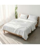 Drap en coton Basic blanc