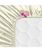 Manarola katoenen hoeslaken (Bed 90) veelkleurig - 90x200x32 cm