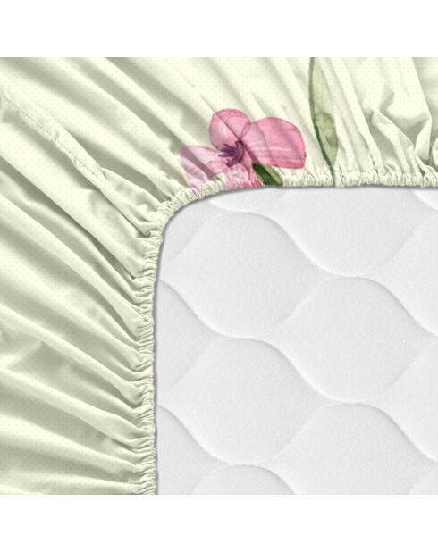 Lenzuolo con angoli in cotone Manarola (Bed 90) multicolore - 90x200x32 cm