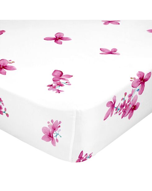 Sábana bajera ajustable Cassia de algodón multicolor