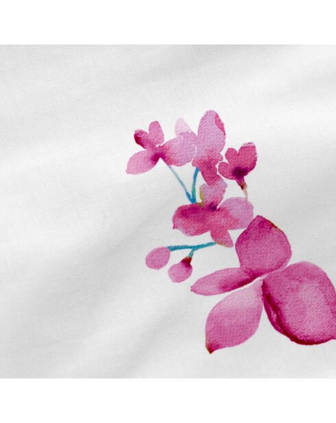 Sábana bajera ajustable Cassia de algodón multicolor