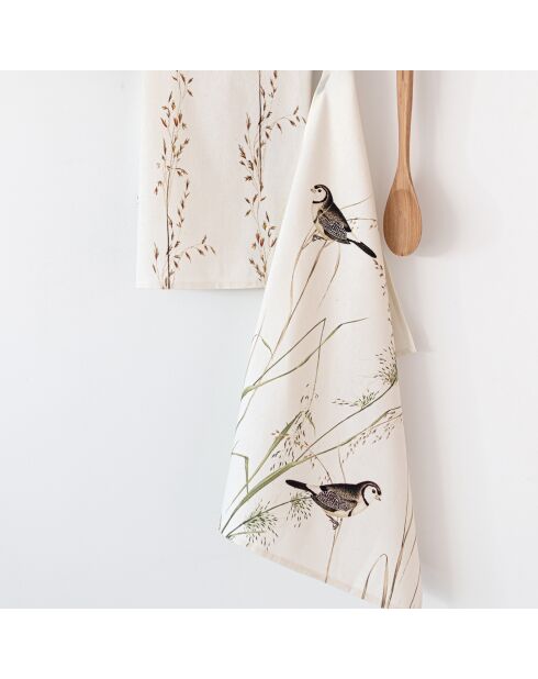 2 mehrfarbige Happy Birds Baumwollgeschirrtücher - 70x50 cm