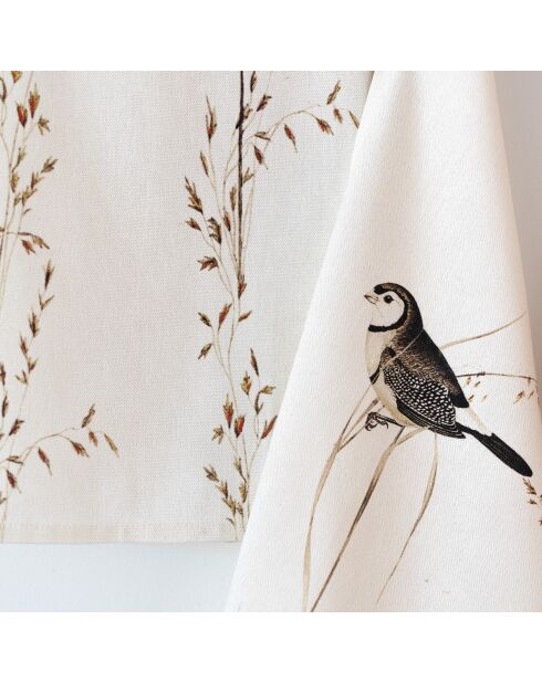 2 mehrfarbige Happy Birds Baumwollgeschirrtücher - 70x50 cm
