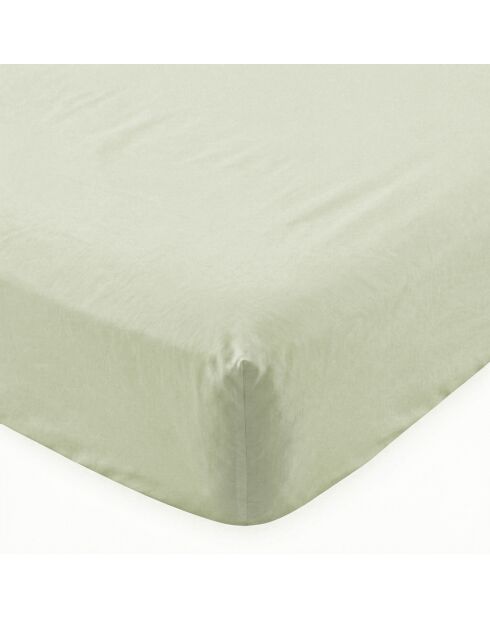 Sábana bajera ajustable básica de algodón color beige