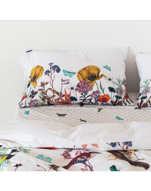 2 Taies d'oreiller en coton Birds of paradise multicolores - 50x75 cm