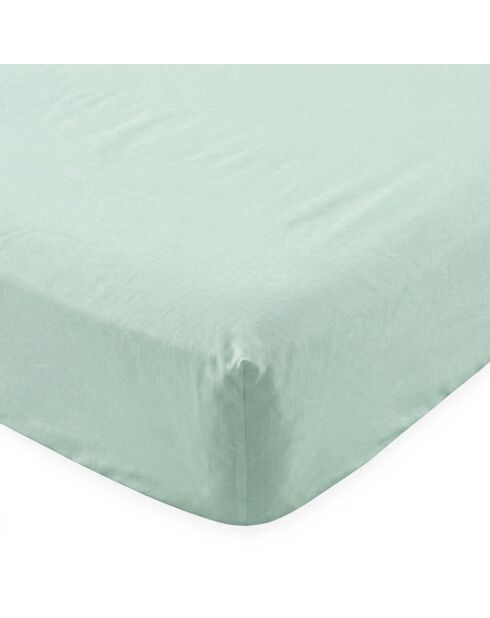 Lenzuolo basico in cotone color menta