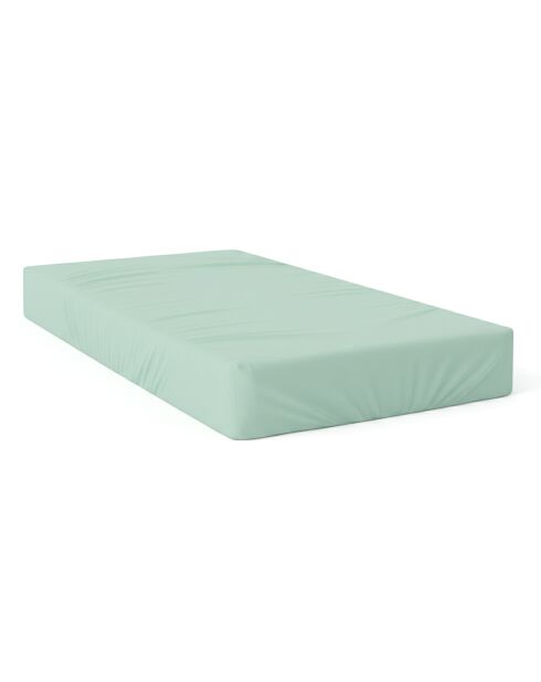 Lenzuolo basico in cotone color menta