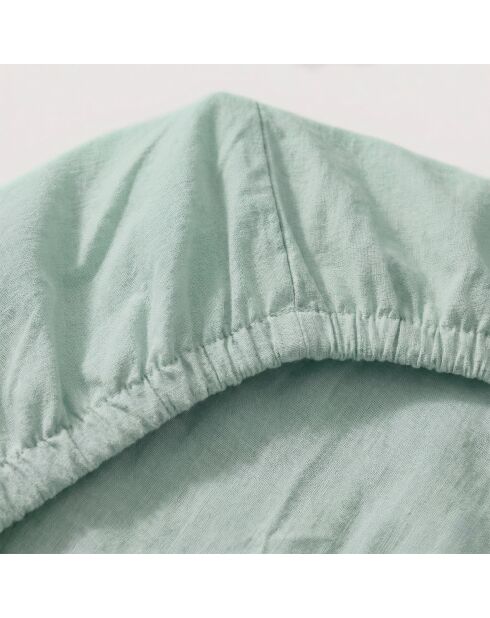 Lenzuolo basico in cotone color menta