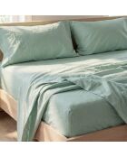 Lenzuolo basico in cotone color menta