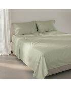 Einfaches Baumwollbettlaken aus Ton in Beige