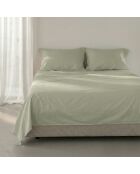 Einfaches Baumwollbettlaken aus Ton in Beige
