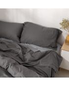 Drap en coton Basic gris foncé