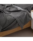 Drap en coton Basic gris foncé