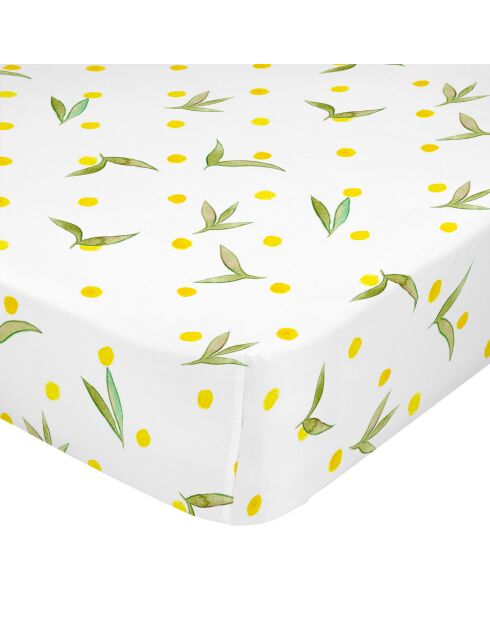 Sábana bajera ajustable de algodón Corniglia (cama 200) multicolor - 200x200x32 cm