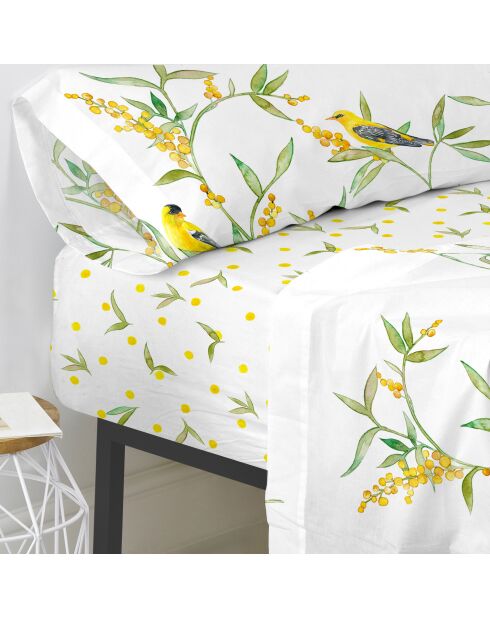 Sábana bajera ajustable de algodón Corniglia (cama 200) multicolor - 200x200x32 cm