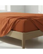 Drap-housse en coton Basic terre cuite
