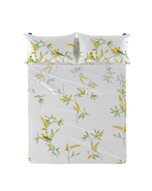 Baumwollbettlaken Corniglia (180/200 Bett) mehrfarbig - 260x270 cm