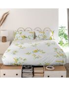 Baumwollbettlaken Corniglia (180/200 Bett) mehrfarbig - 260x270 cm