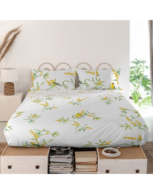 Baumwollbettlaken Corniglia (180/200 Bett) mehrfarbig - 260x270 cm