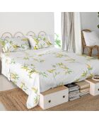 Baumwollbettlaken Corniglia (180/200 Bett) mehrfarbig - 260x270 cm