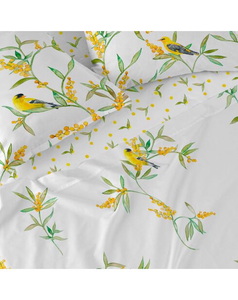 Baumwollbettlaken Corniglia (180/200 Bett) mehrfarbig - 260x270 cm