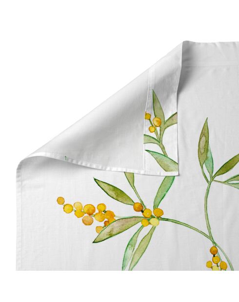 Baumwollbettlaken Corniglia (180/200 Bett) mehrfarbig - 260x270 cm