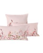 2 federe in cotone Chinoiserie rosa multicolore - 50x75 cm