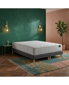 Hecate Federkernmatratzen-Set mit 2 Taschen, H26 cm, dunkelgrau, Boxspringbett, 180 x 200 cm