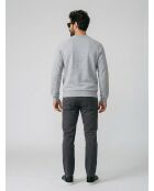 Sweat SH2695 argenté chiné