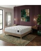 Hecate Federkernmatratzen-Set mit 2 Taschen, H26 cm, Taupe, 140 x 200 cm