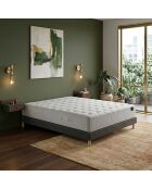 Comète Taschenfedermatratzenset H27 cm, dunkelgraues Boxspringbett - 140x200 cm