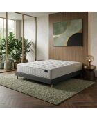 Artemis 2 Taschenfedermatratzen-Set aus Memoryschaum, Füllung aus Kaschmir, H26 cm, dunkelgraues Boxspringbett — 140 x 200 cm