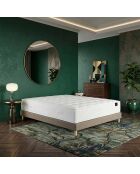 Callisto Matratzenset aus hochelastischem Schaumstoff, H29 cm, Memory-Foam-Kissen, taupefarbener Kaschmir-Topper — 140 x 200 cm