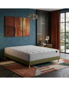 Artemis 2 pocketveringmatrasset met traagschuim, kasjmiervulling, H26 cm, groene boxspring - 140x200 cm