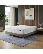 Matrasset met traagschuimvering Helios, kasjmiervulling, H31 cm, taupe boxspring - 160x200 cm