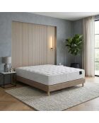 Pulsar matrasset met traagschuimveren, kasjmiervulling, H27 cm, taupe boxspring - 140x190 cm