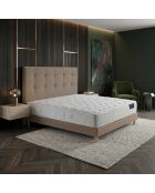 Ensemble Matelas ressorts ensachés mémoire de forme Hecate H26 cm, tête de lit capitonnée, garnissage cachemire, sommier taupe - 140x190 cm