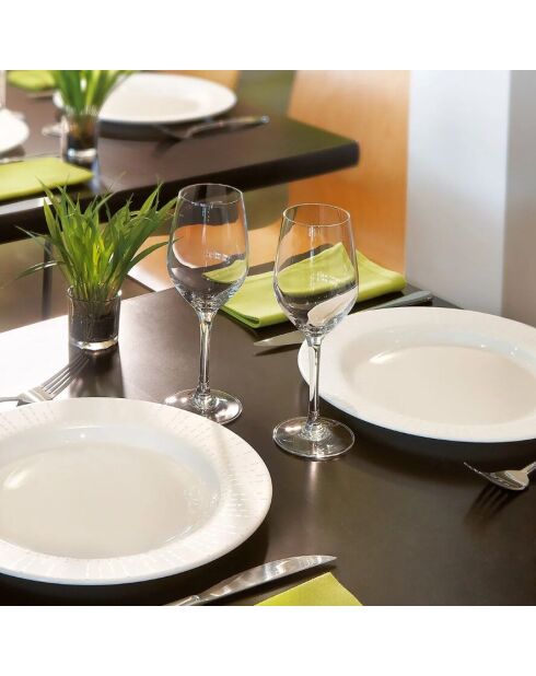 Lot de 12 verres à pied Sens argentée - 45cl