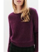 Pull Stephano bordeaux