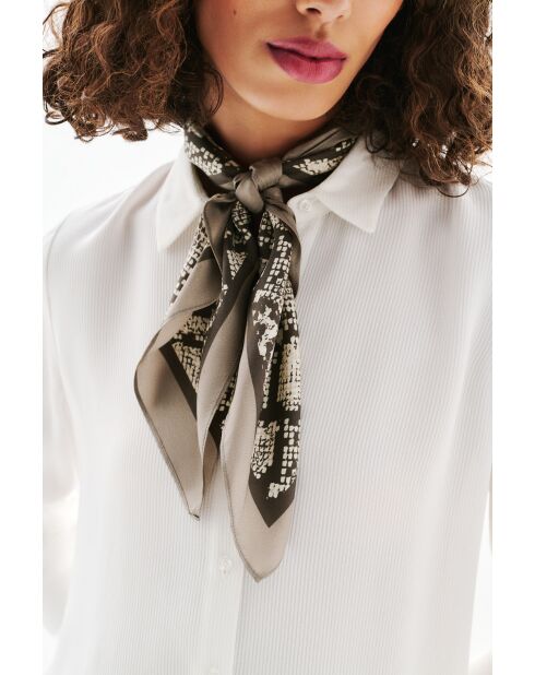 Foulard en soie Snake Soie taupe