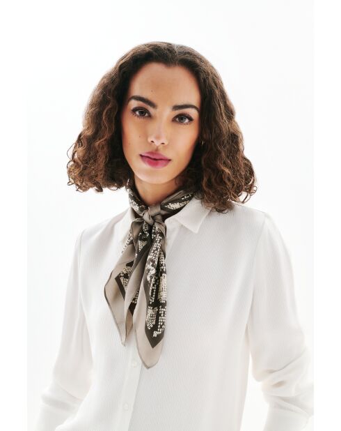 Foulard en soie Snake Soie taupe