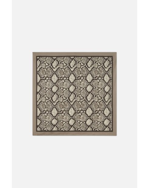 Foulard en soie Snake Soie taupe
