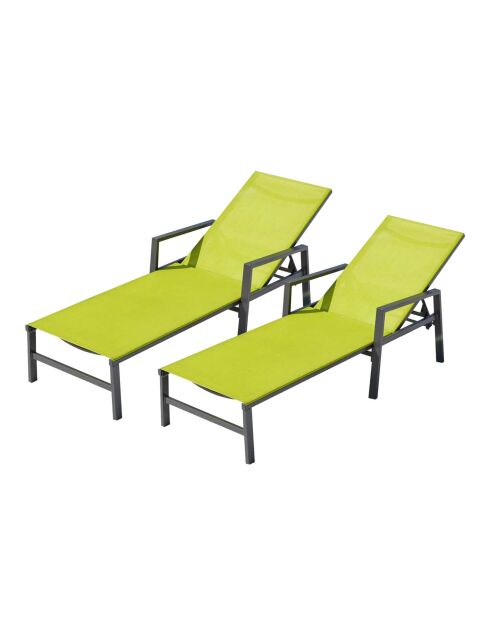 Lot de 2 transats en aluminium Parivo gris foncé et vert - 192x61x92 cm