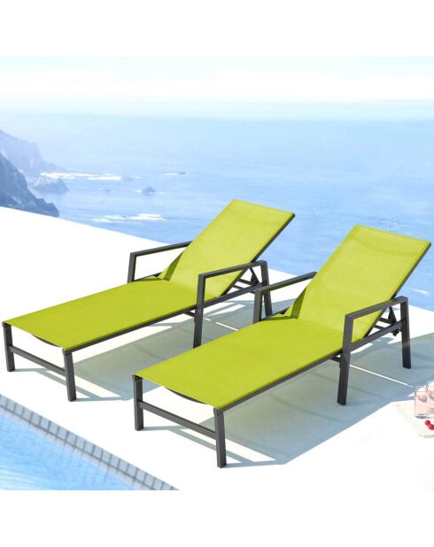 Lot de 2 transats en aluminium Parivo gris foncé et vert - 192x61x92 cm