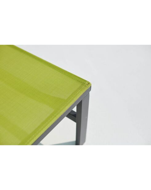 Lot de 2 transats en aluminium Parivo gris foncé et vert - 192x61x92 cm